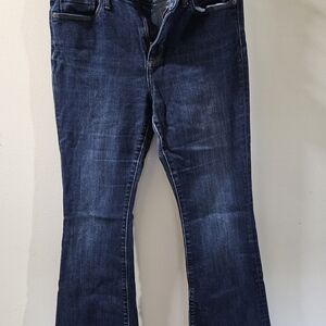 Banana Republic Blue Flare Wide Leg Jeans